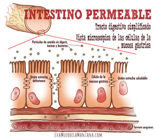 diagrama_intestino_permeable