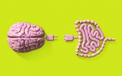 Eje cerebro-intestino y problemas emocionales