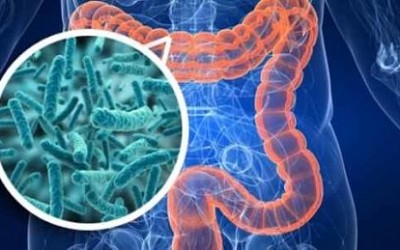 Combatir la Candidiasis con Hidroterapia de Colon