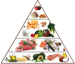 Nutritional pyramid