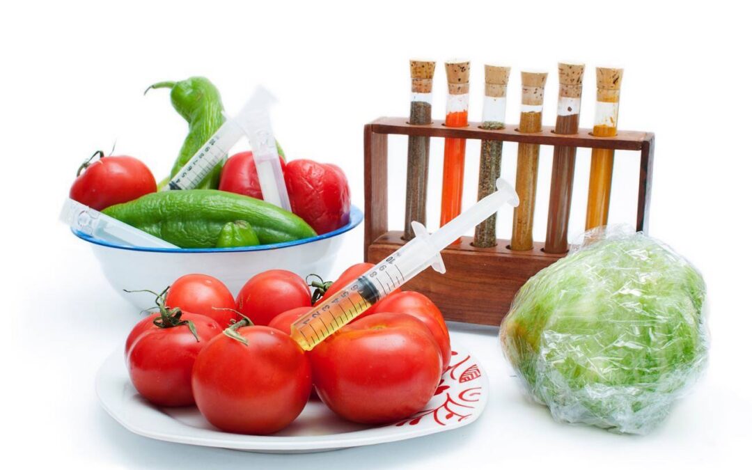 alimentos-transgénicos
